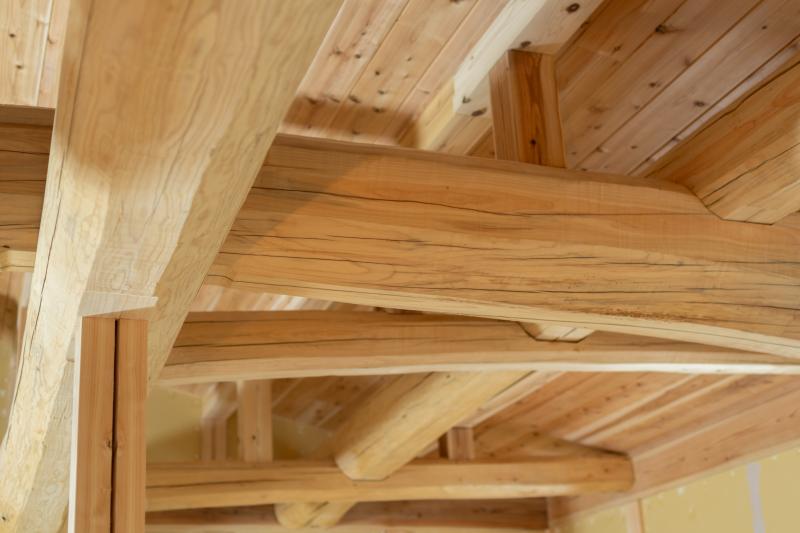 Extension en ossature bois, les étapes clés pour un projet réussi